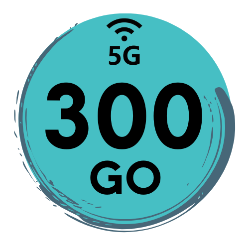 Forfait Mobile 300go