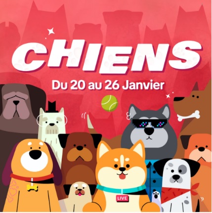 Campagne « CHIENS »