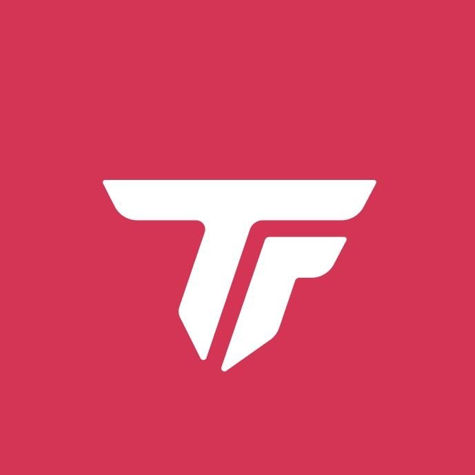 TikFinity